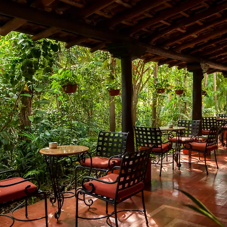 Occidental Cozumel - All Inclusive-3